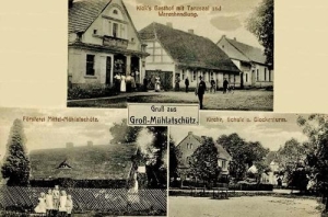 Miłocice widokowa - Reprodukcja 29724