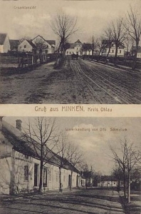 Minkowice Oławskie - Reprodukcja 29729
