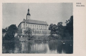 Oleśnica Mała - Reprodukcja 29748