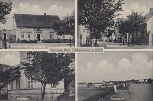 Skrzypnik widokowa - Reprodukcja 29771