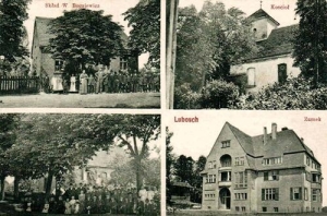 Lubosz widokowa - Reprodukcja 29799