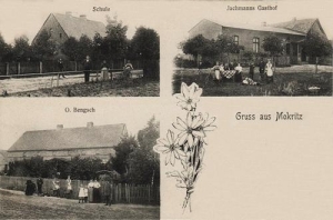Mokrzec widokowa - Reprodukcja 29802