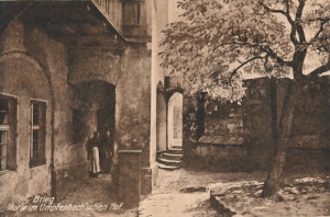 Brzeg Brieg -Reprodukcja 018