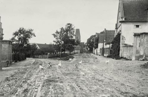 Żukowice - Reprodukcja 27978