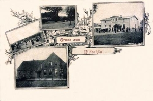 Bielczyny widokowa - Reprodukcja 29929