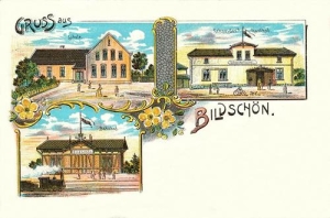 Bielczyny widokowa - Reprodukcja 29930