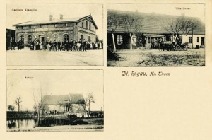 Rogówko widokowa - Reprodukcja 29988