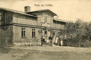 Silno - Reprodukcja 29989