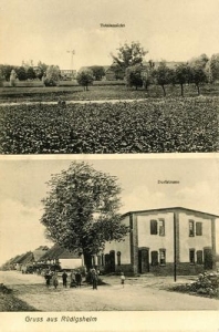 Słomowo widokowa - Reprodukcja 29995