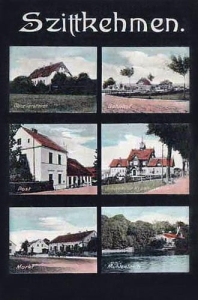 Żytkiejmy widokowa - Reprodukcja 30064