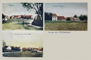 Żytkiejmy widokowa - Reprodukcja 30069