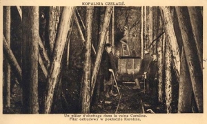Czeladź - Reprodukcja 30172