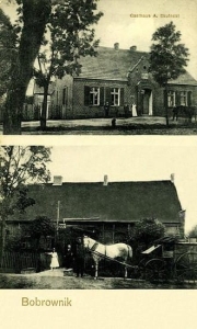 Bobrowniki - Reprodukcja 30221