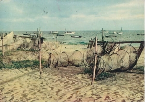 Brzeg morski - 09343