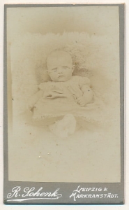 CDV Fotografia wizytowa - 2643
