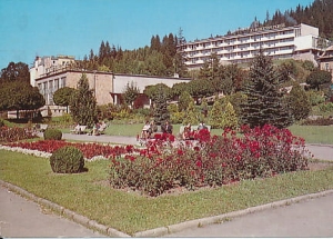 Krynica - 09688