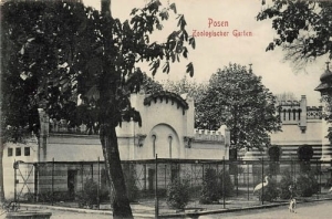 Poznań Ogród Zoologiczny - Reprodukcja 5423