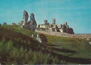 Ogrodzieniec - 09801