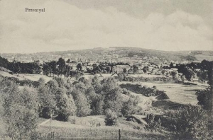 Przemyśl panorama - Reprodukcja 30513