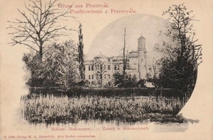 Przemyśl pałac - Reprodukcja 30520