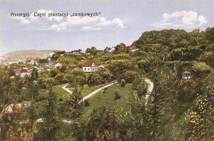 Przemyśl panorama - Reprodukcja 30521