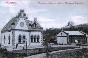 Przemyśl - Reprodukcja 30543