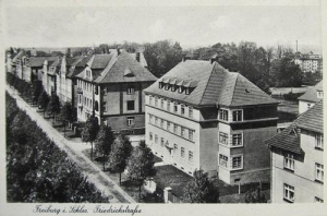 Świebodzice Friedrichstr. - Reprodukcja 30610