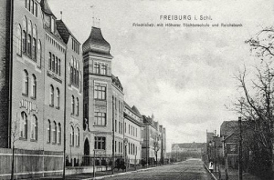 Świebodzice Friedrichstr. - Reprodukcja 30612