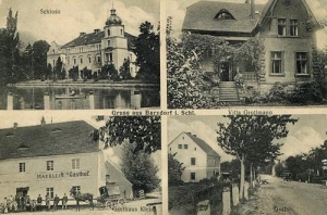 Bartoszówek widokowa - Reprodukcja 30678