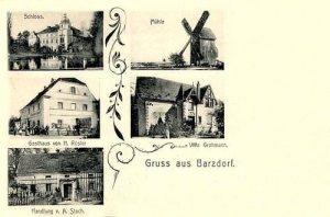 Bartoszówek widokowa - Reprodukcja 30679