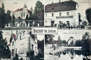 Bartoszówek widokowa - Reprodukcja 30681
