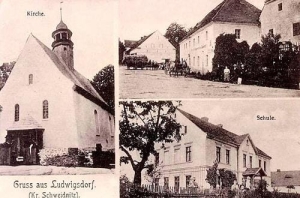 Bojanice widokowa - Reprodukcja 30687