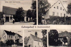 Bojanice widokowa - Reprodukcja 30689