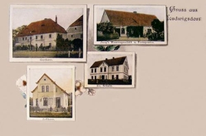 Bojanice widokowa - Reprodukcja 30691