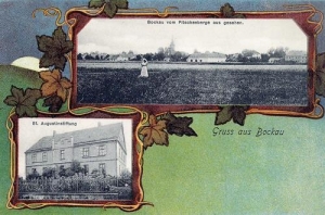 Buków widokowa - Reprodukcja 30705
