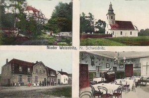 Bystrzyca Dolna - Reprodukcja 30714