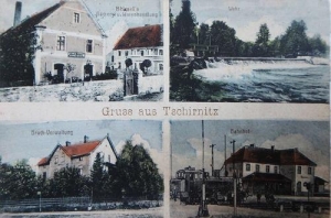 Czernica widokowa - Reprodukcja 30723