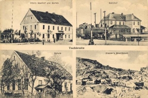 Czernica widokowa - Reprodukcja 30724