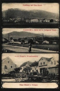 Graniczna - Reprodukcja 30785