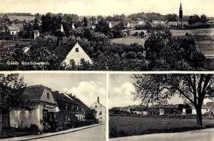 Grodziszcze widokowa - Reprodukcja 30800