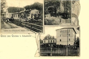 Jagodnik widokowa - Reprodukcja 30820