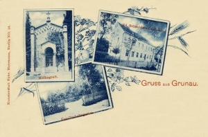 Jagodnik widokowa - Reprodukcja 30821