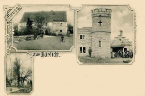 Kostrza widokowa - Reprodukcja 30856