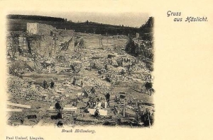 Kostrza widokowa - Reprodukcja 30857
