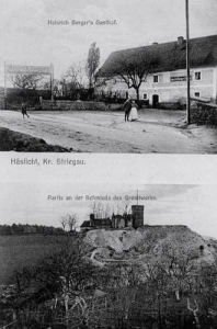 Kostrza widokowa - Reprodukcja 30858