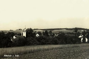 Kostrza panorama - Reprodukcja 30861