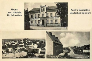 Kostrza widokowa - Reprodukcja 30862
