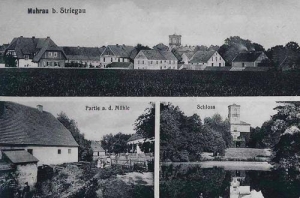 Morawa widokowa - Reprodukcja 31028
