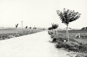 Bierawa panorama - Reprodukcja 31041