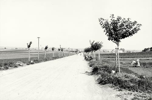 31041 (Copy).jpg